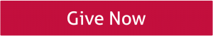 Give now to make a lasting difference