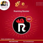 Nov 27 – Roaming Rooster Medium Small